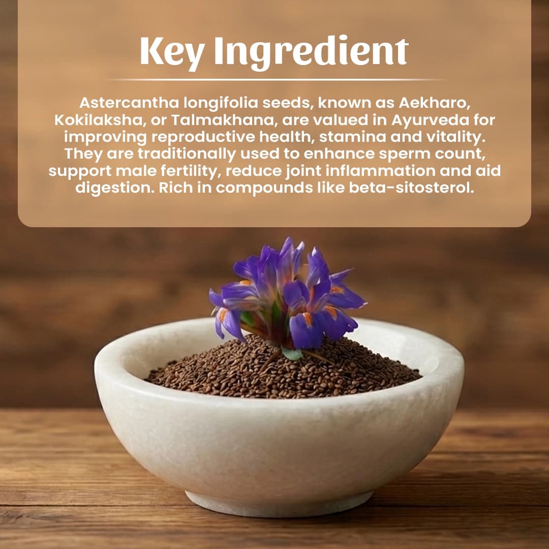 4 Aekharo Seeds Powder Ingredient