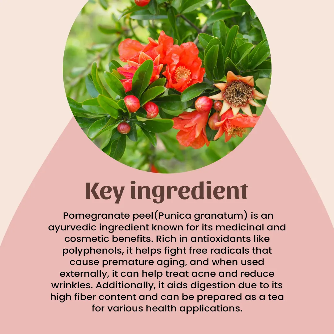 4 Anar chhal Powder ingredient