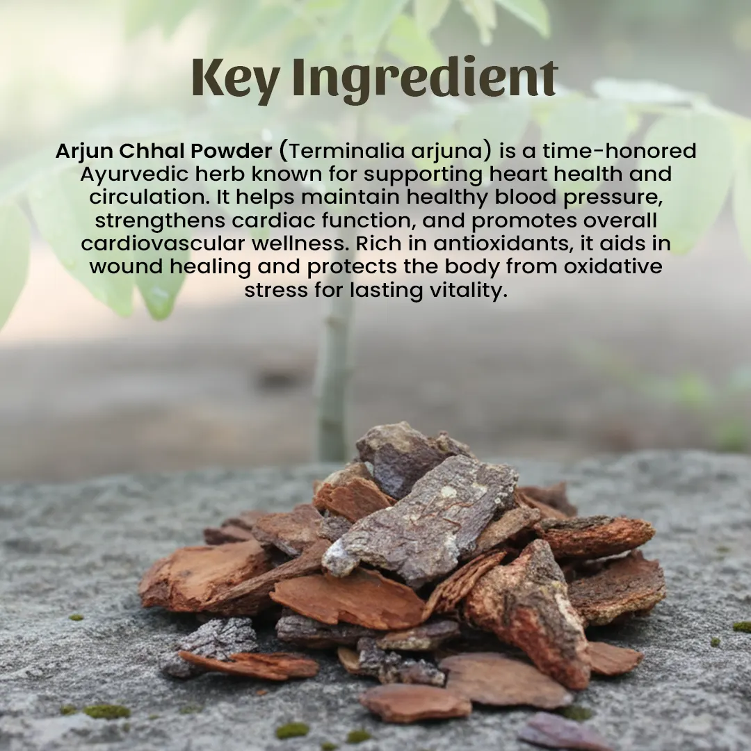 4 Arjun Chhal Powder Ingredient