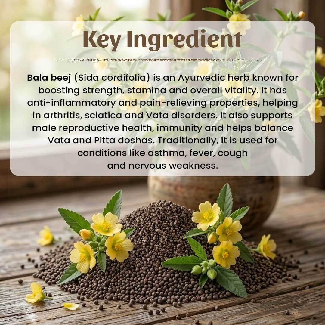 4 Bala Beej Powder Ingradient