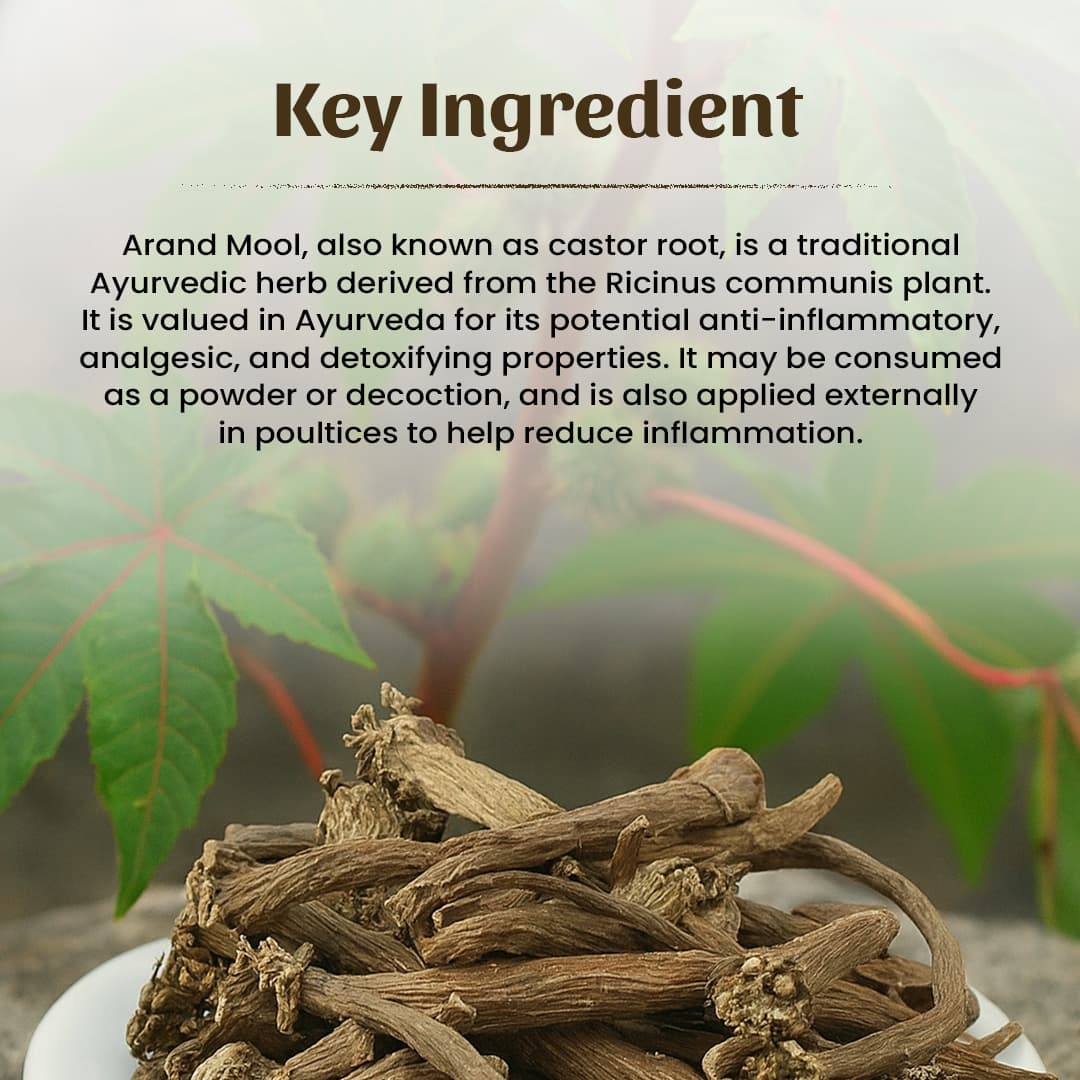 4 Erand Mool Powder Ingredient