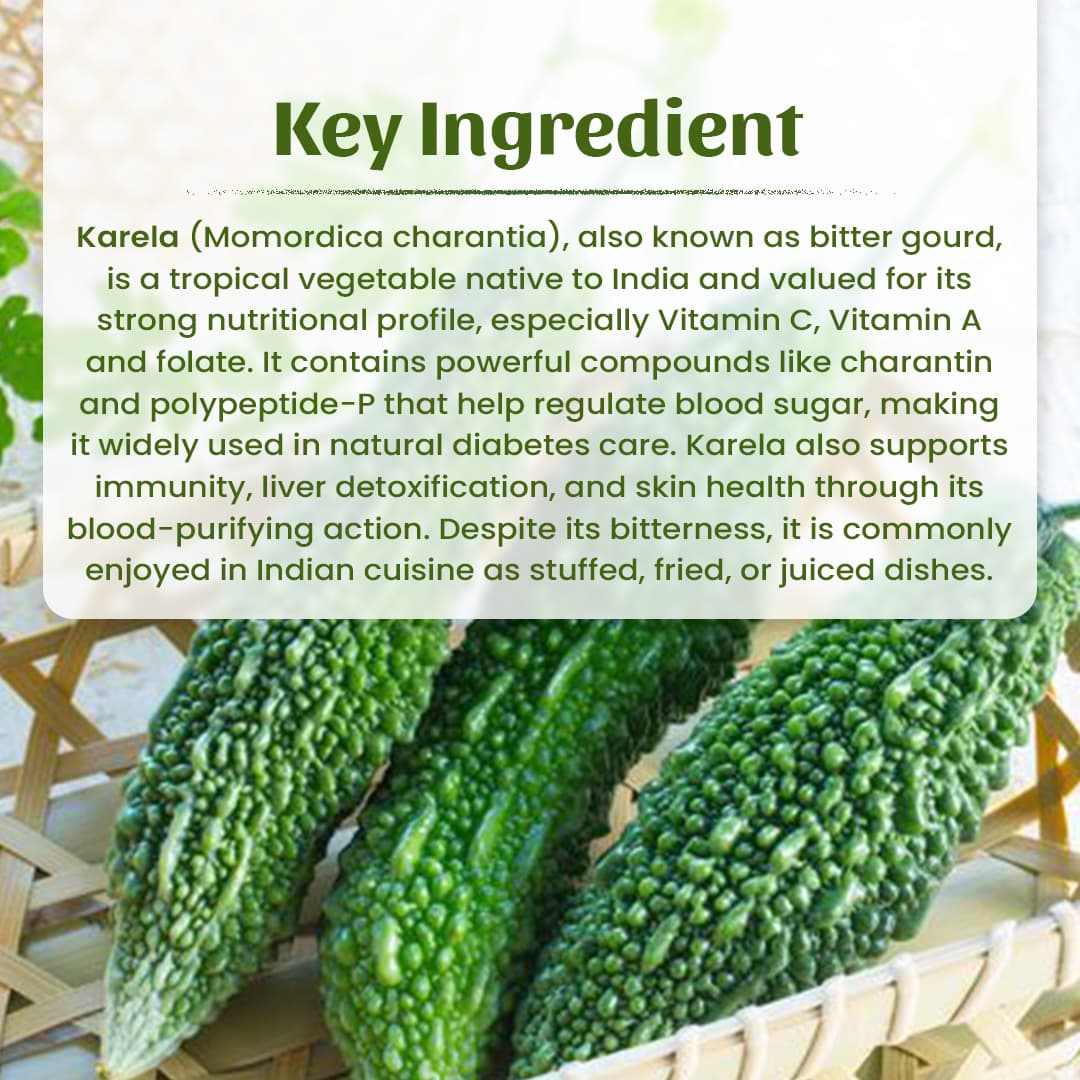 4 Karanj Seeds Powder Ingradient