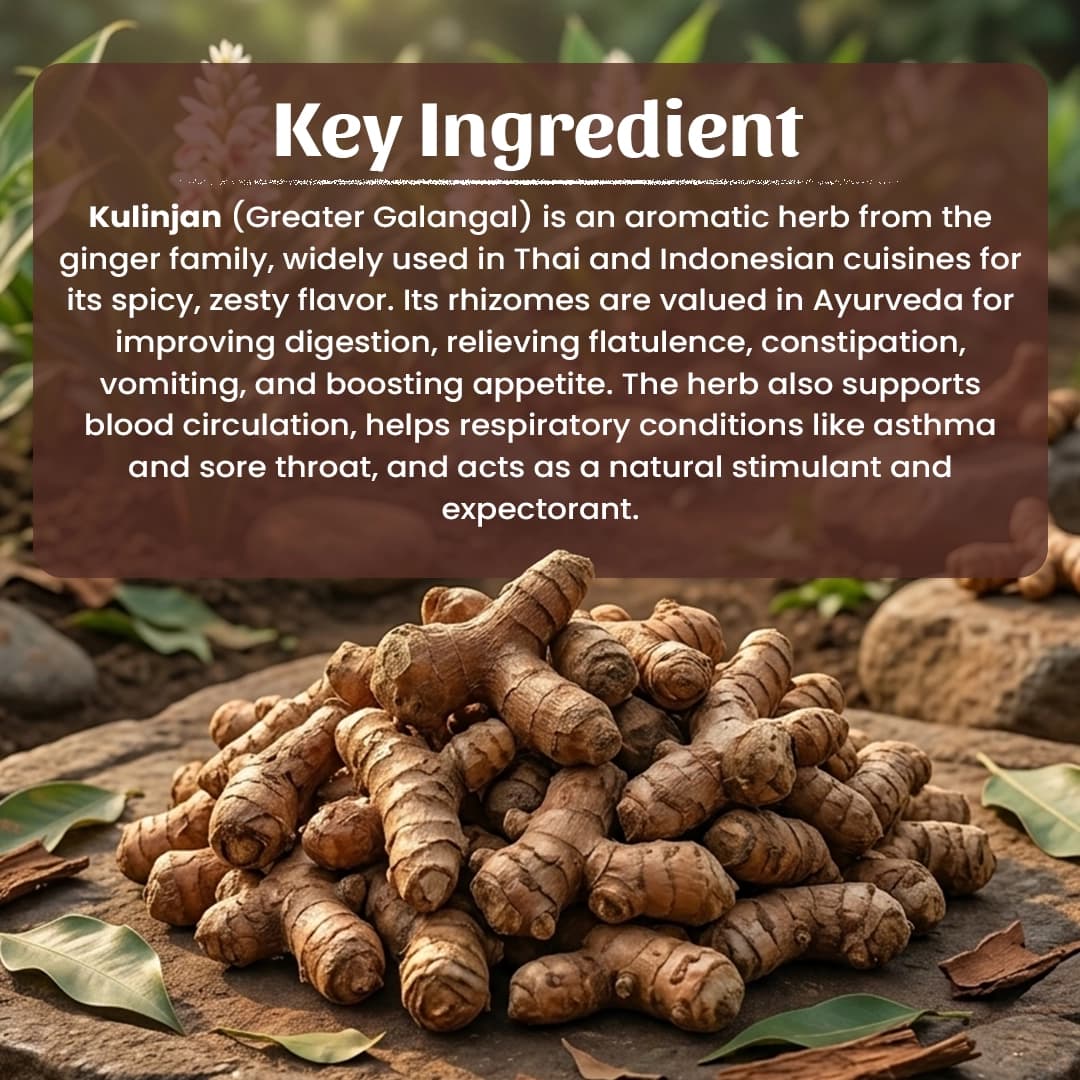 4 Kulinjan Powder Ingradient