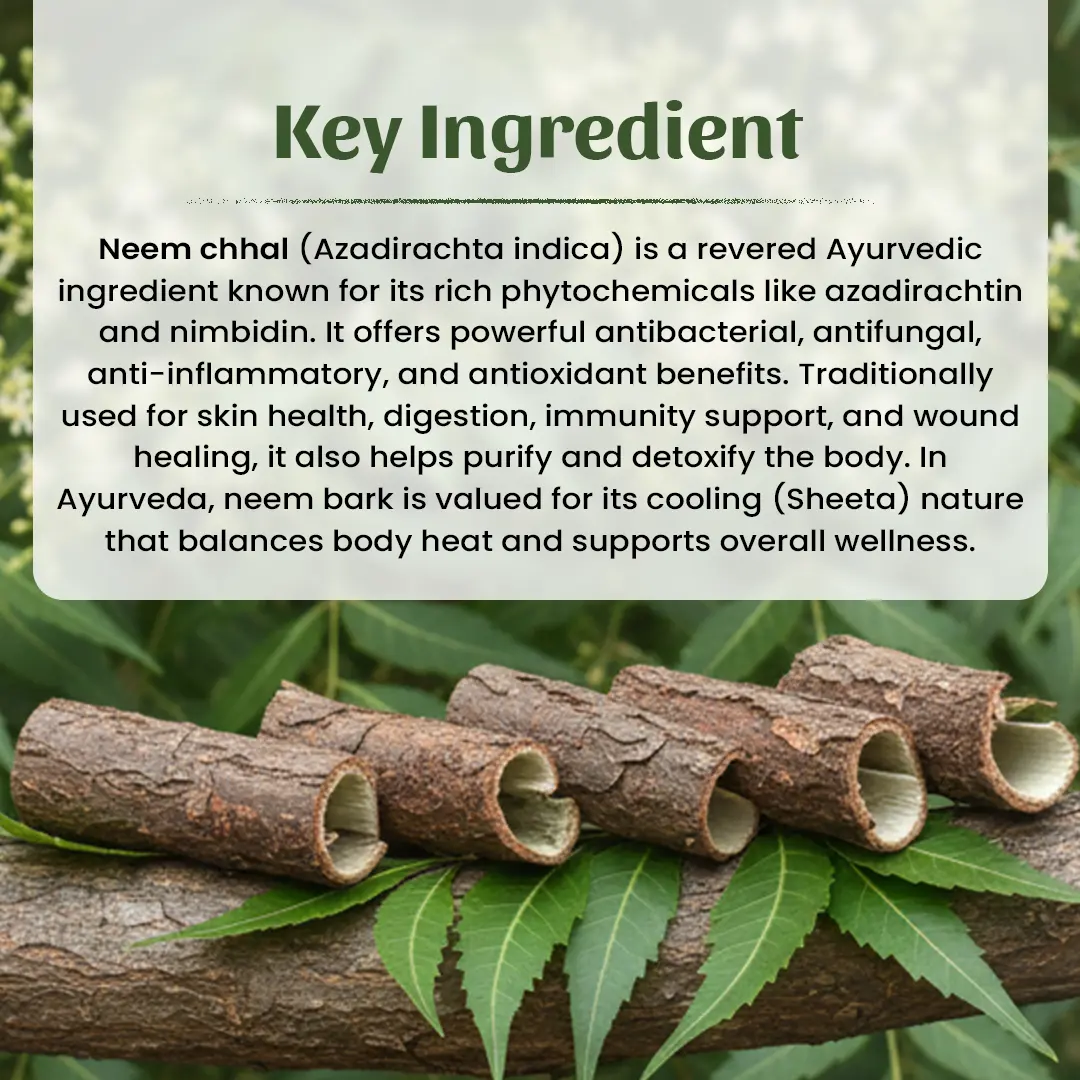 4 Neem Chhal Powder Ingradient