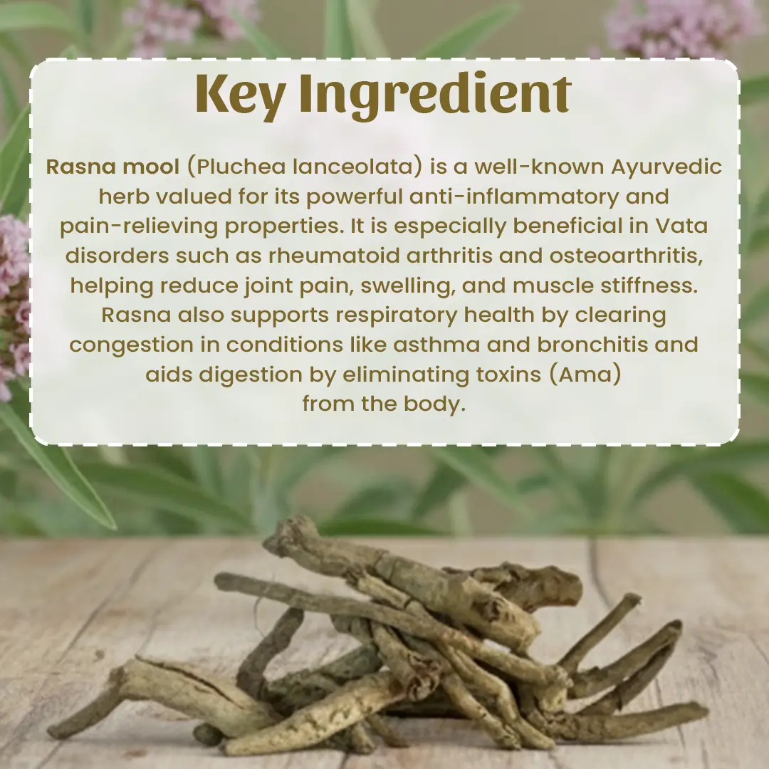 4 Rasna Mool Powder Ingradient