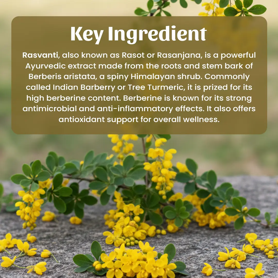 4 Rasvanti Powder Ingradient