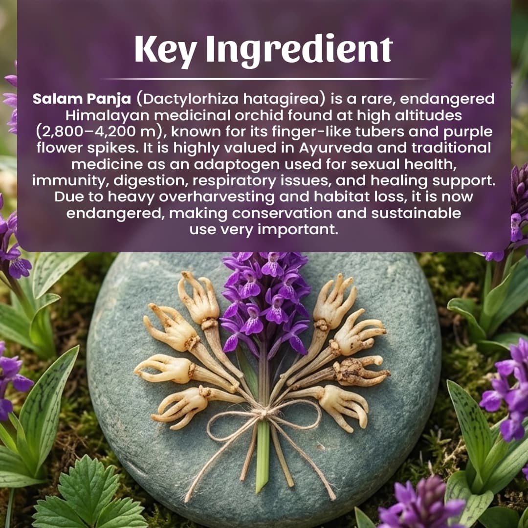 4 Salam Panja Ingredient