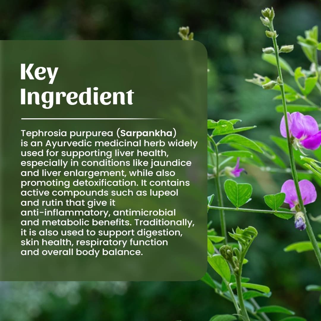 4 Sarpankha Powder Ingredient
