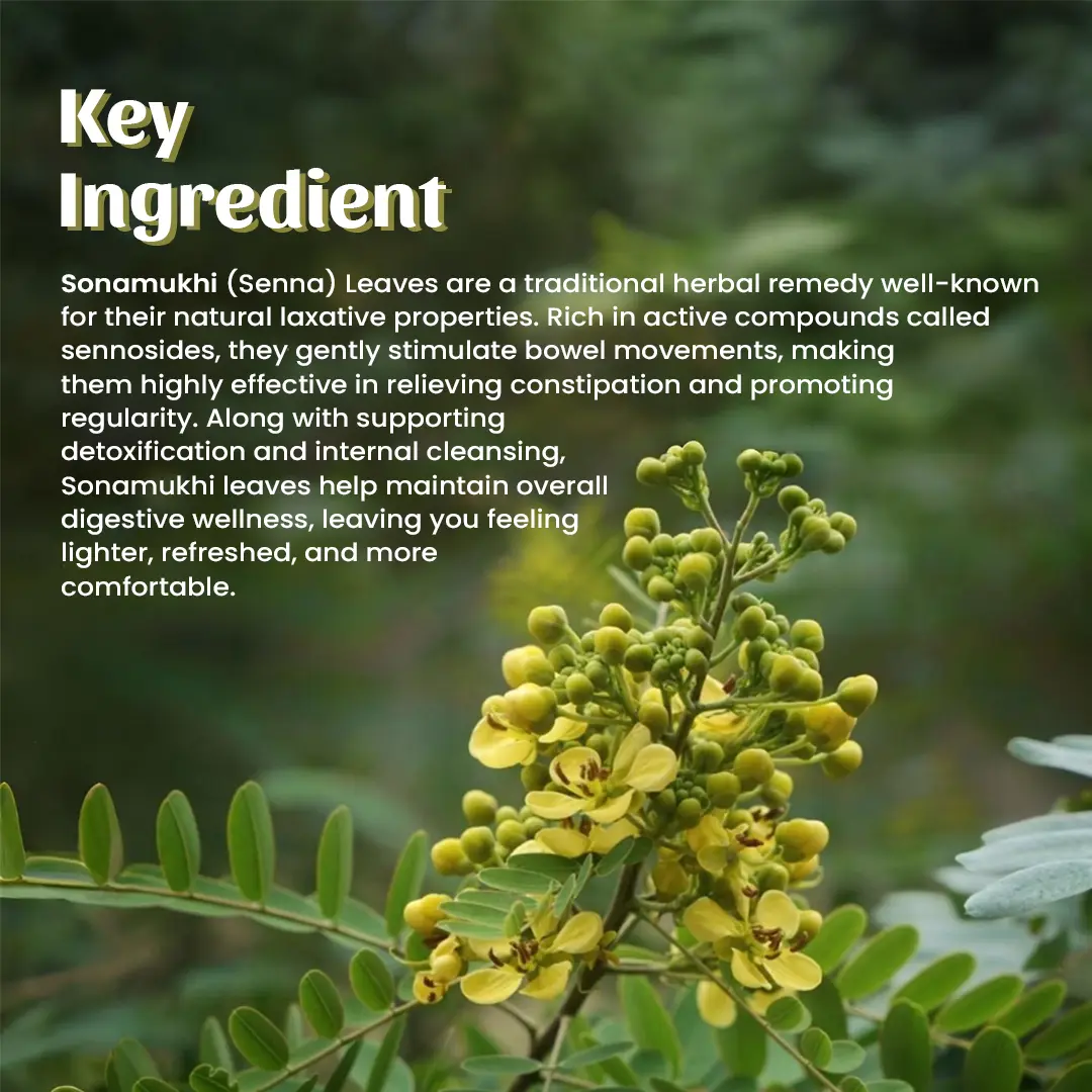 4 Sonamukhi Powder Ingredient