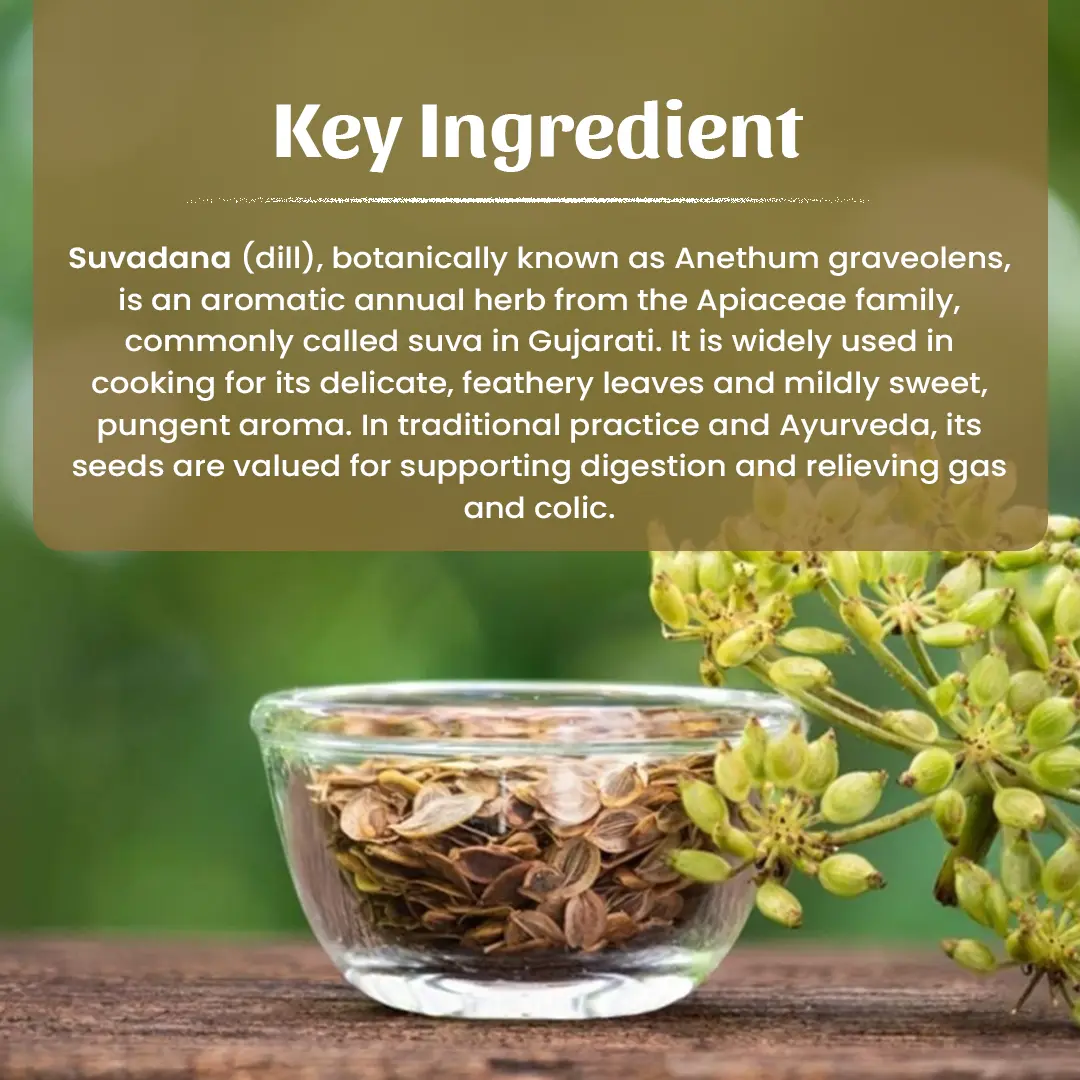 4 Suvadana Powder Ingradient