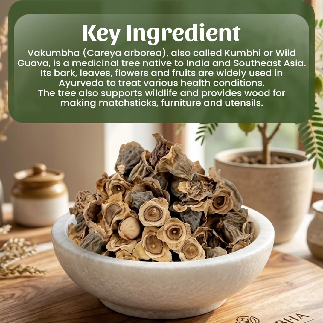 4 Vakumbha Powder Ingredient