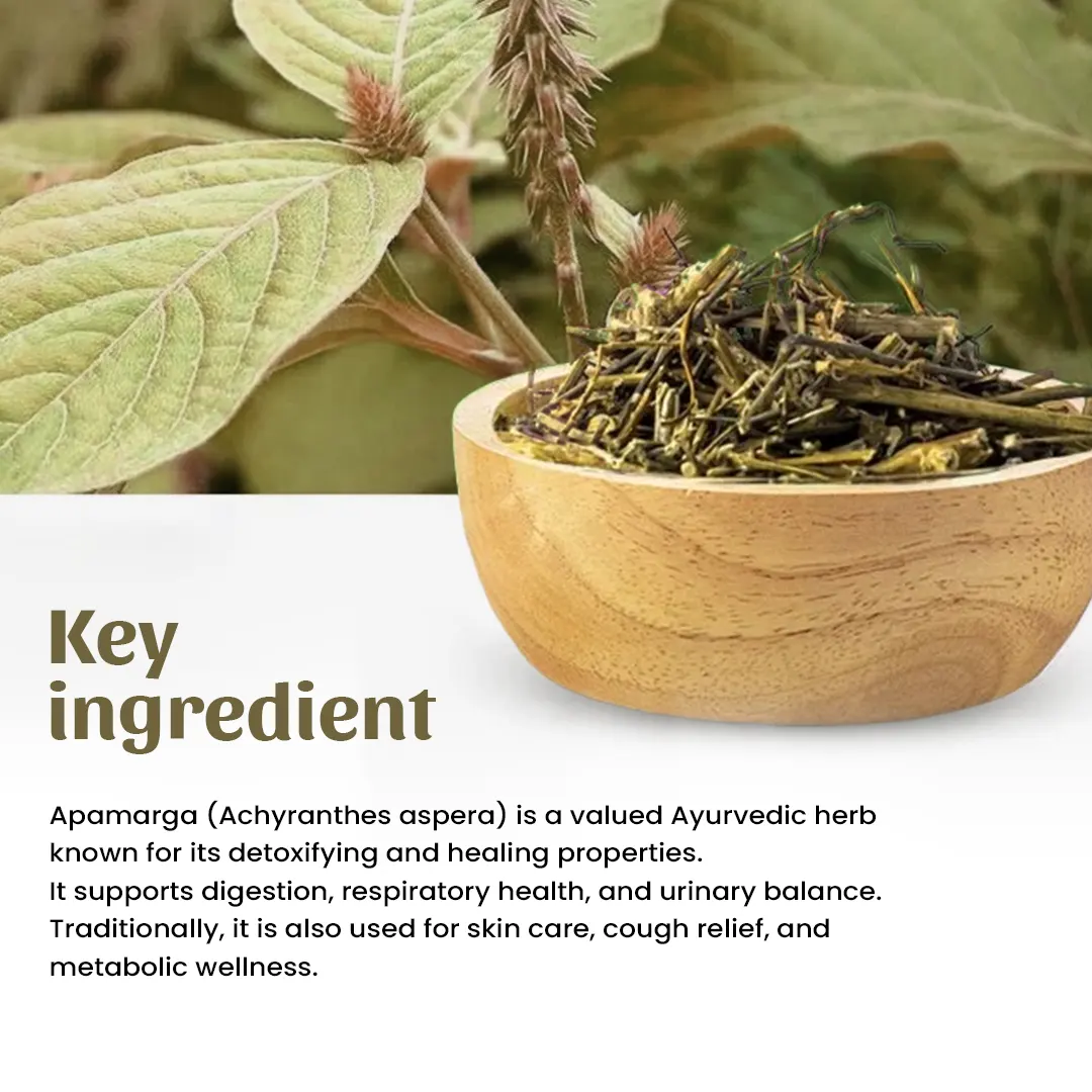 4 apamarga powder ingredient