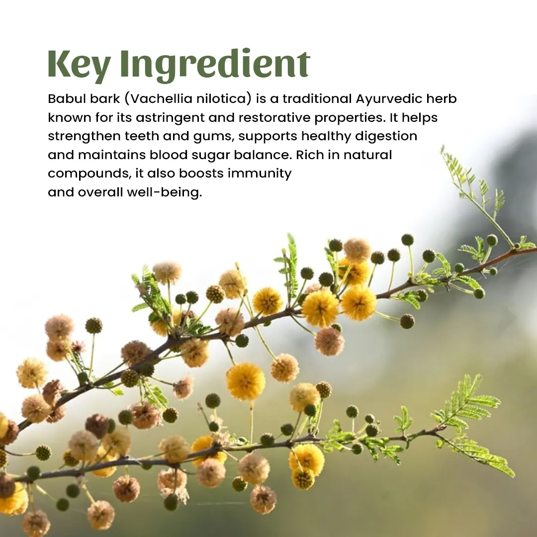 4 babul bark powder ingredient