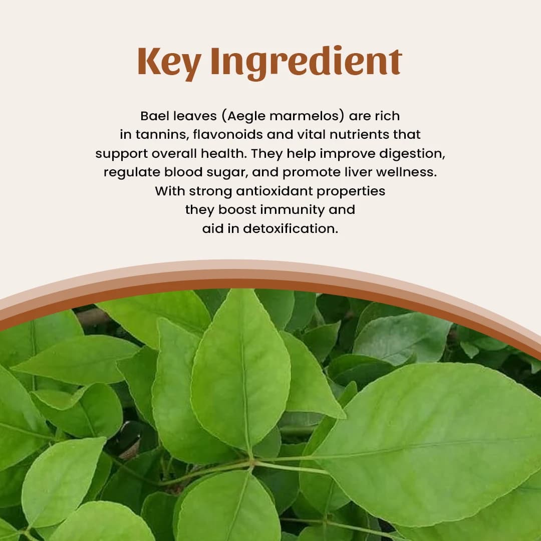 4 bael leaves powder ingredient