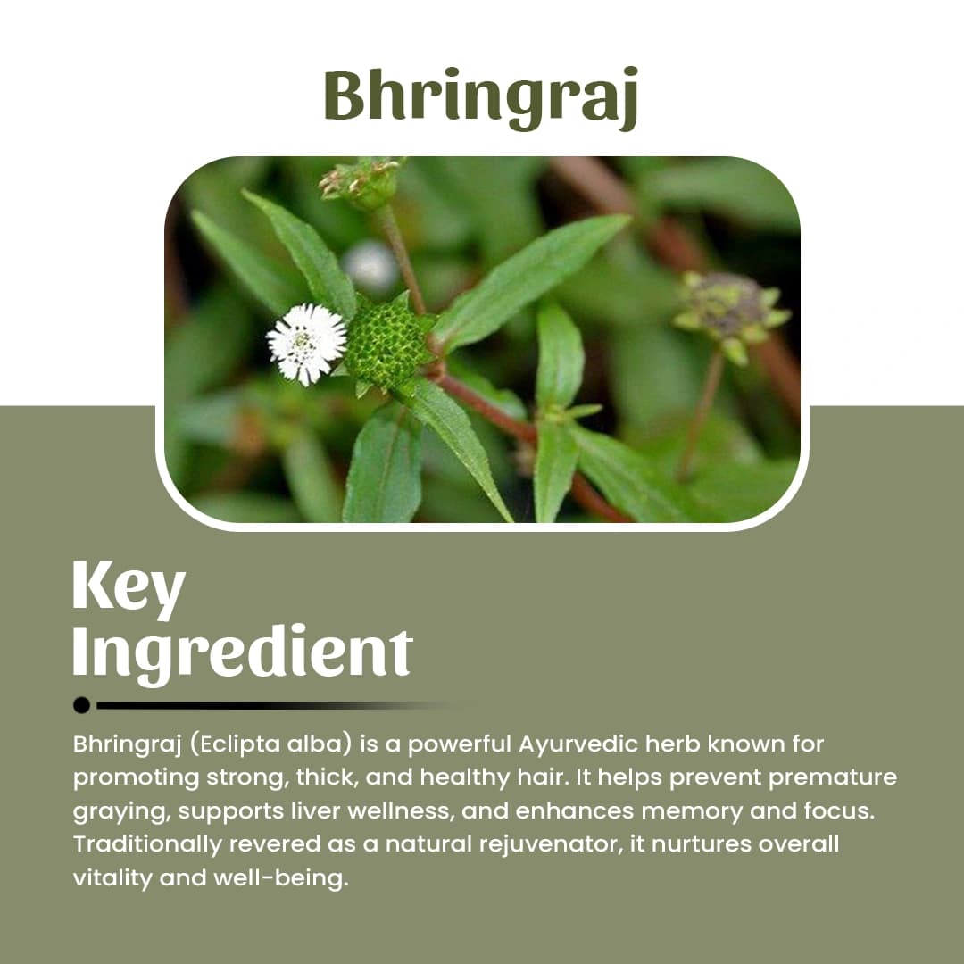 4 bhringraj powder ingredient