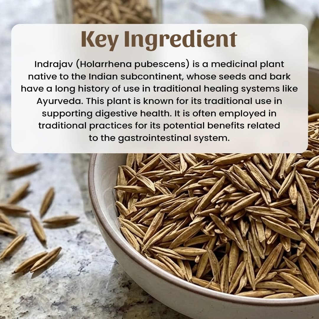 4 indrajav khada Powder Ingradient