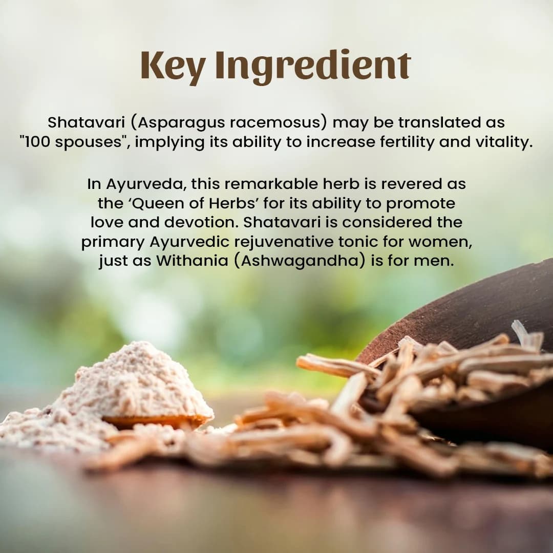 4 shatavari powder ingredient