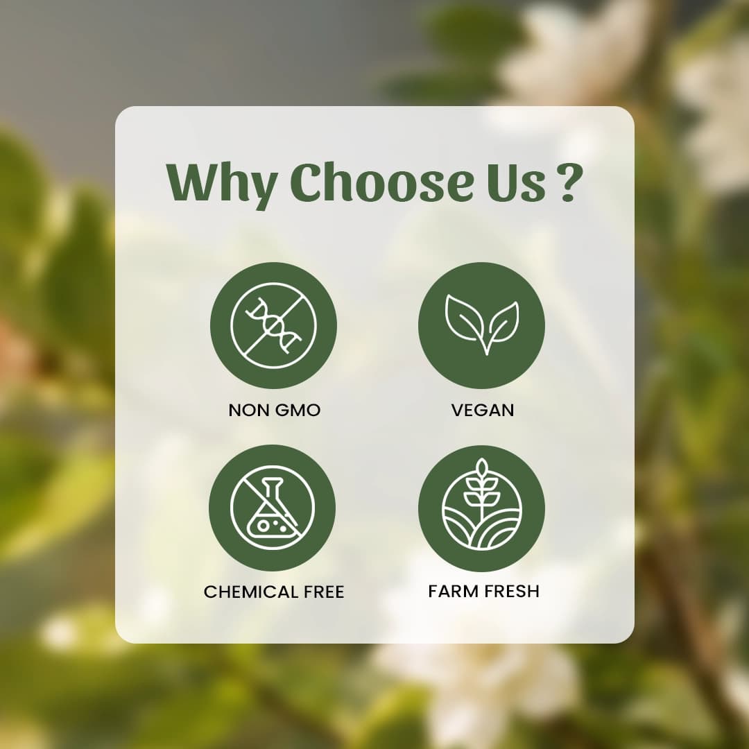 6 Dikamari Powder Why Choose Us