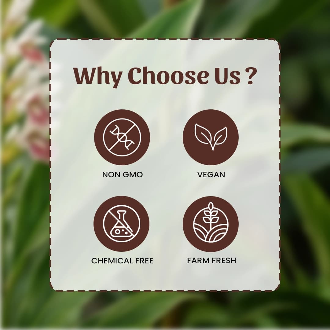 6 Kulinjan Powder Why Choose Us