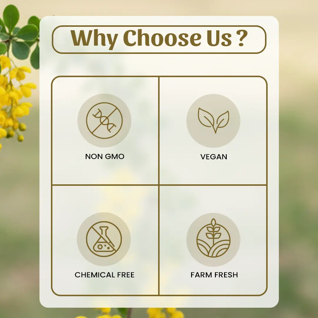 6 Rasvanti Powder Why Choose Us