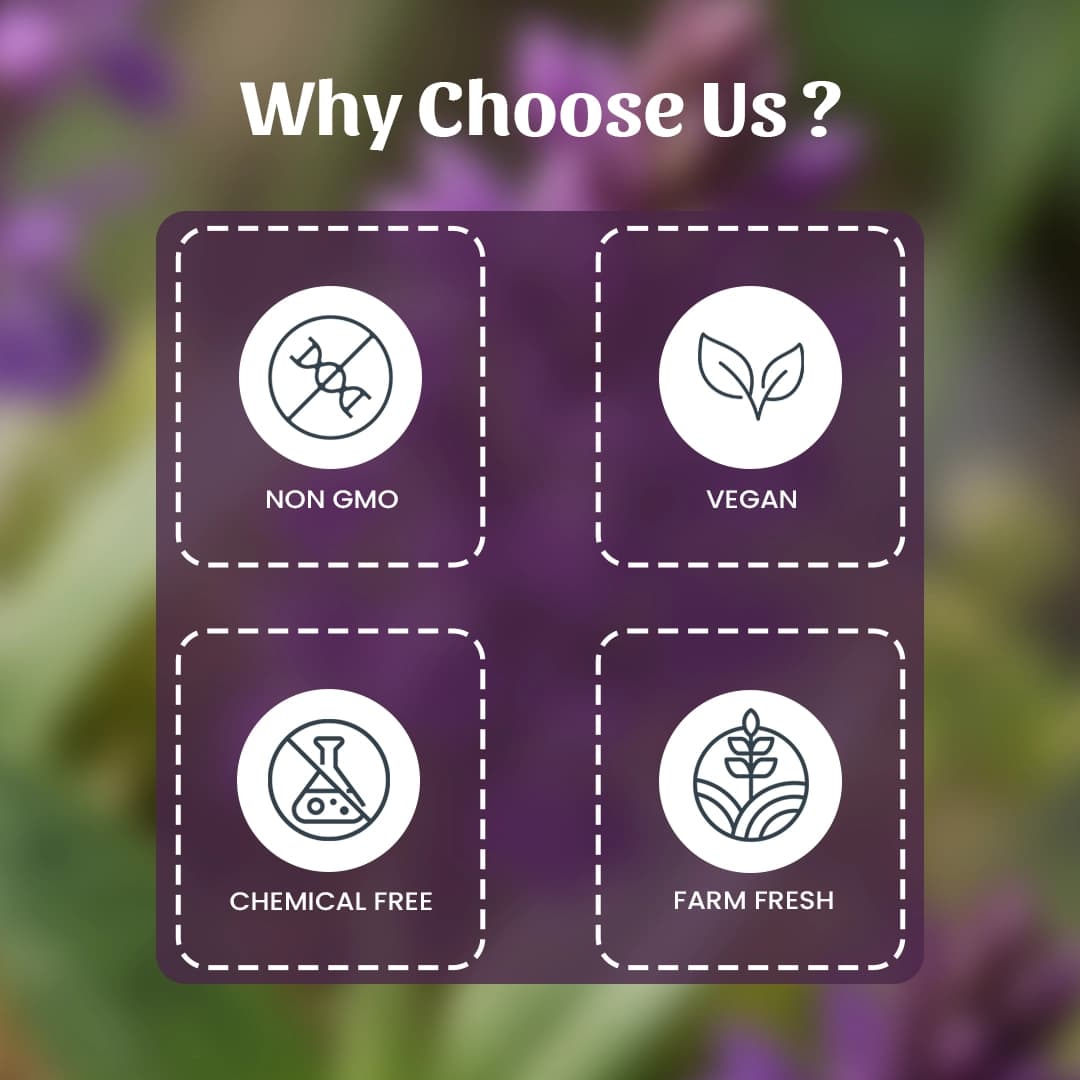 6 Salam Panja Why Choose Us
