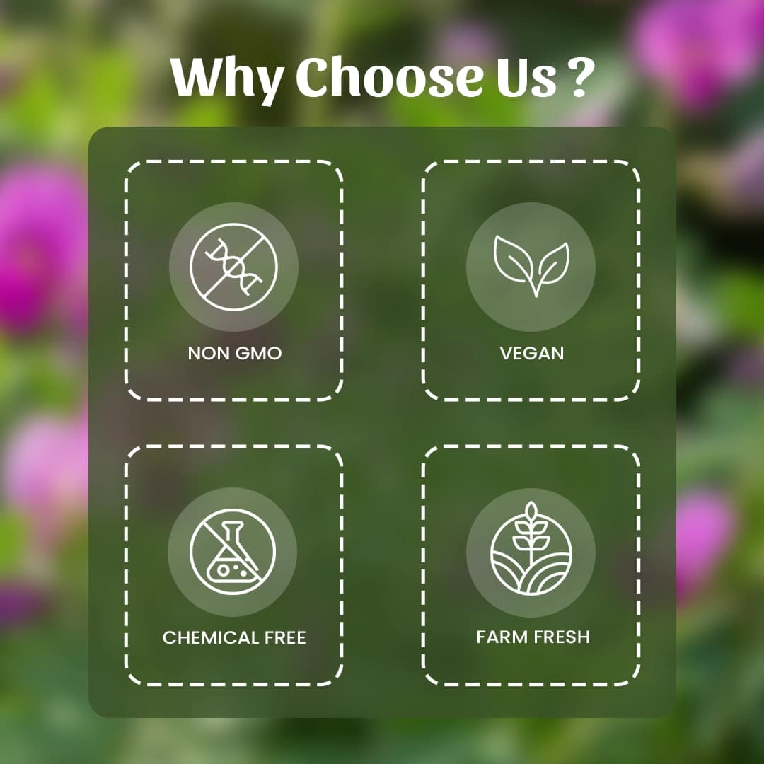 6 Sarpankha Why Choose Us