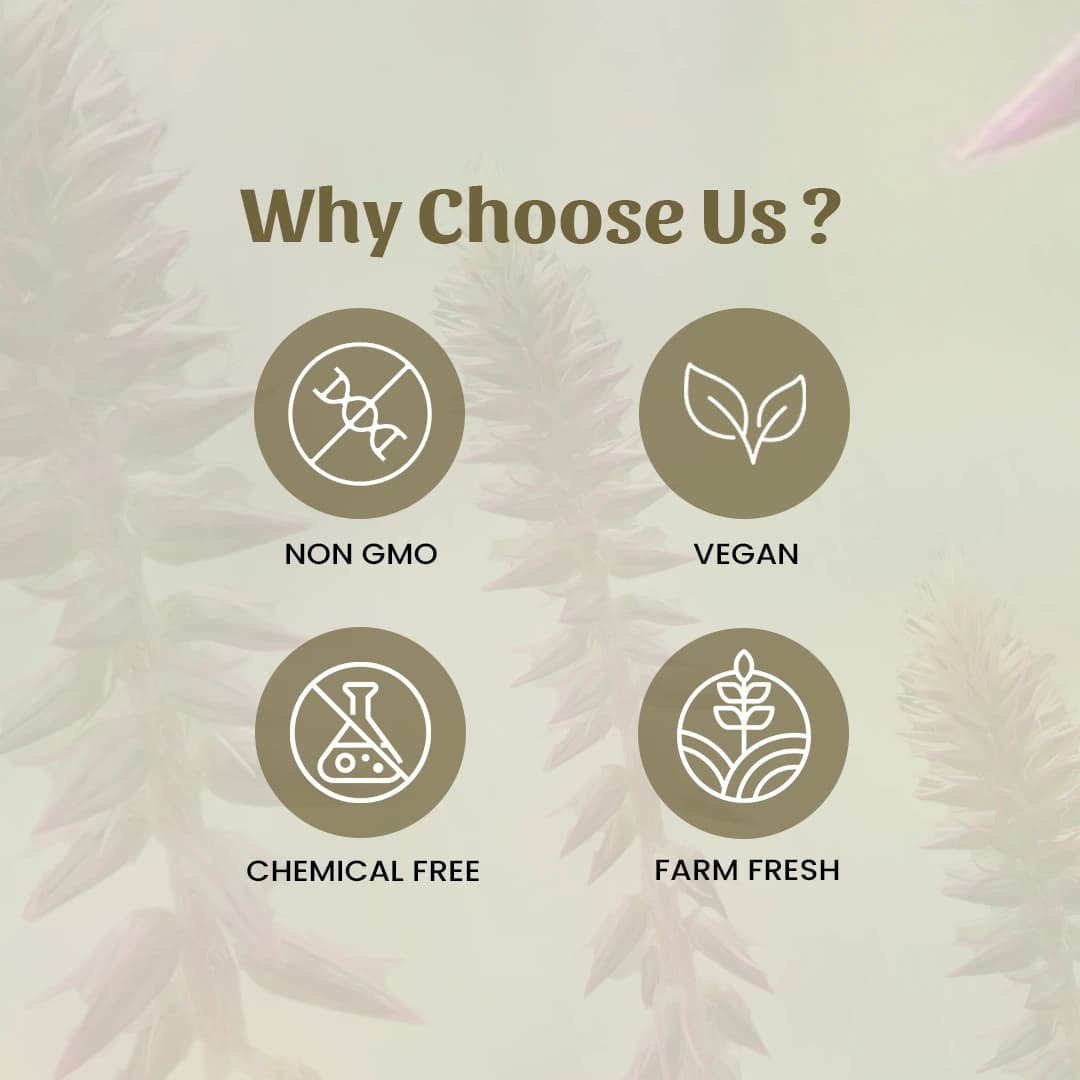 6 apamarga powder why choose us