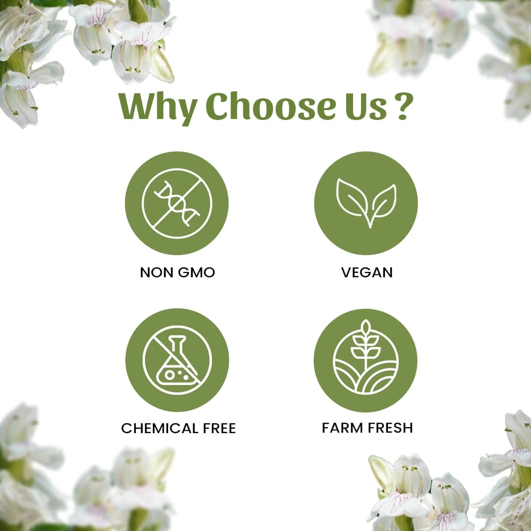 6 ardusi powder why choose us