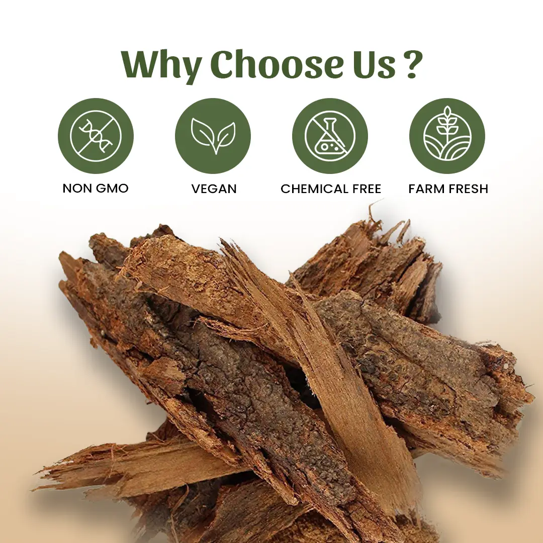 6 babul bark powder why choose us