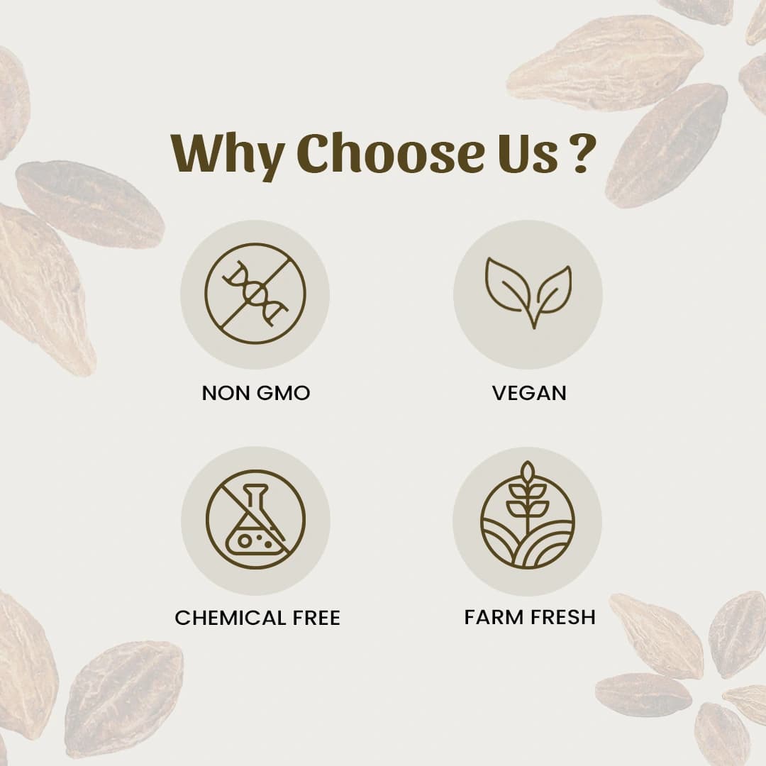 6 harde powder why choose us