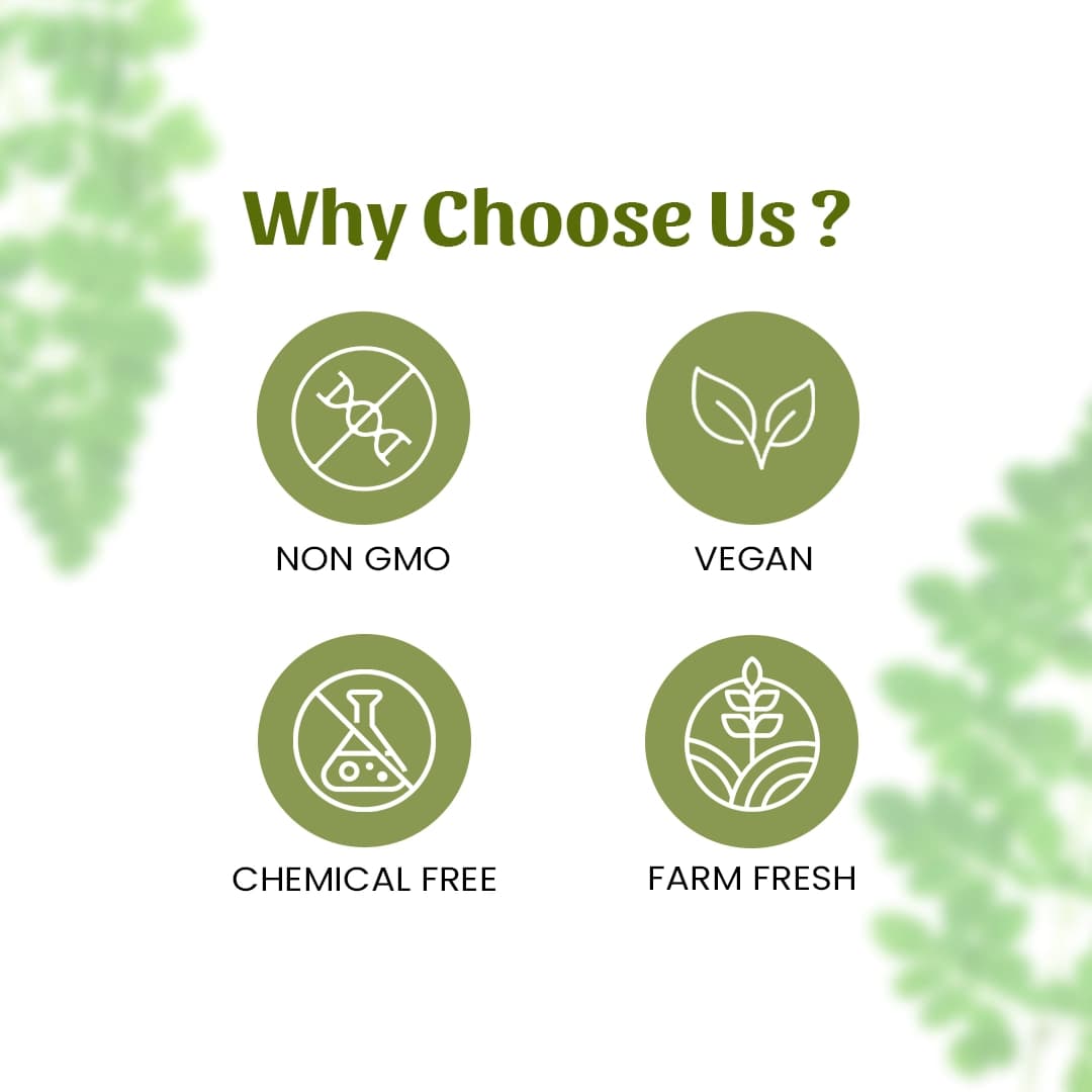6 moringa leaves why choose us