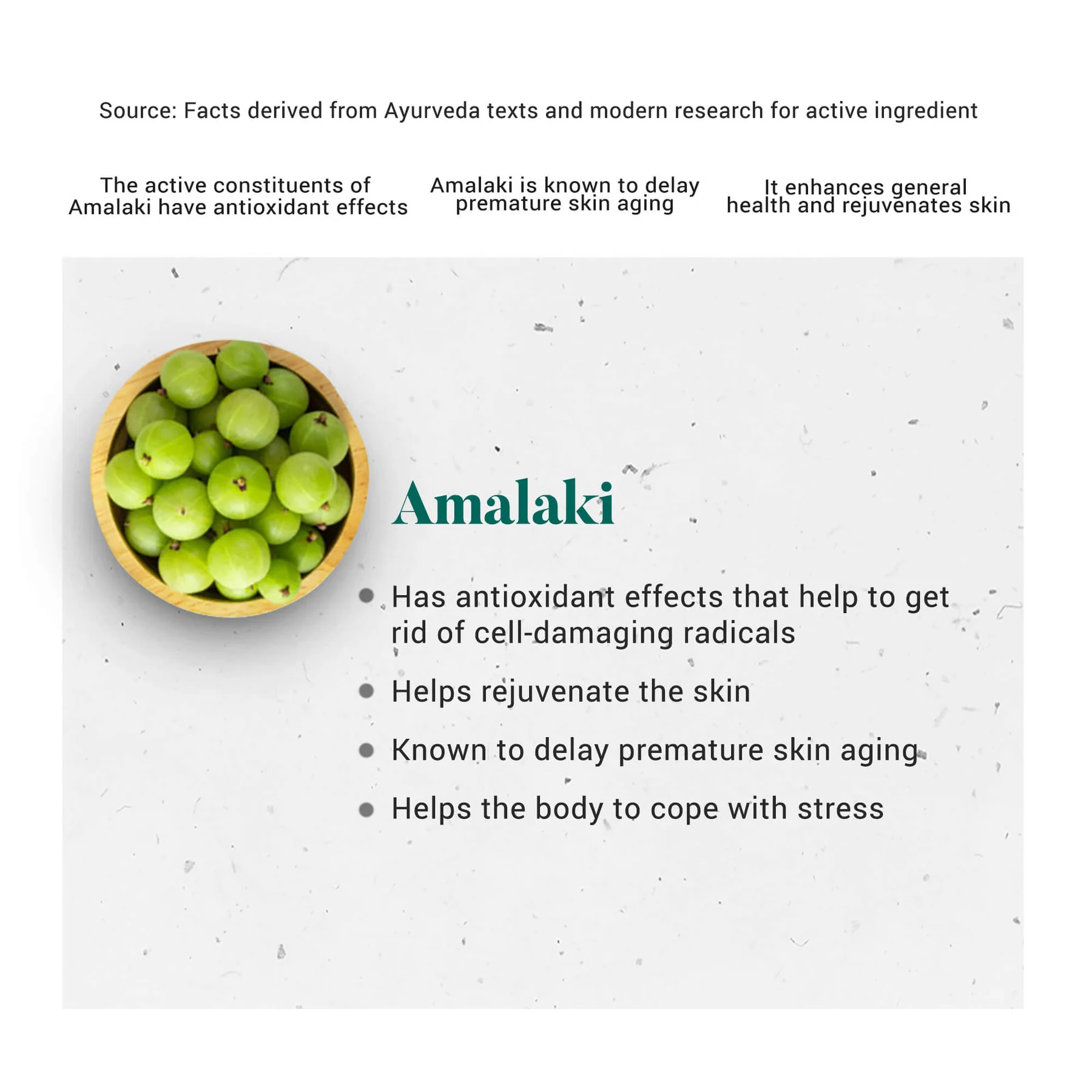 Amlaki3_1800x1800.webp