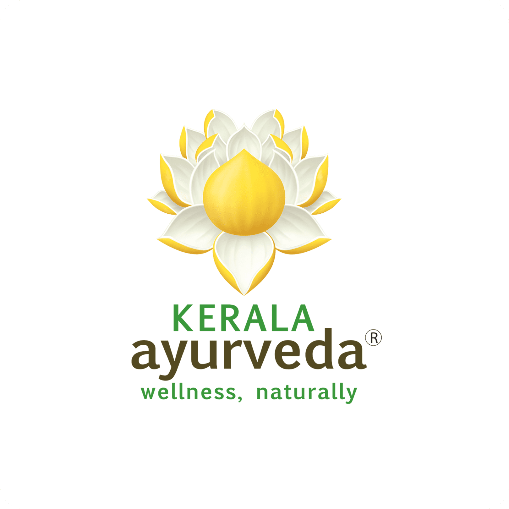 Kerala Ayurveda