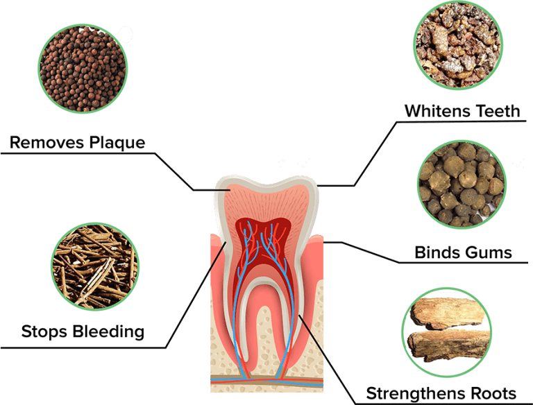 Ingredients-768×584-1.png