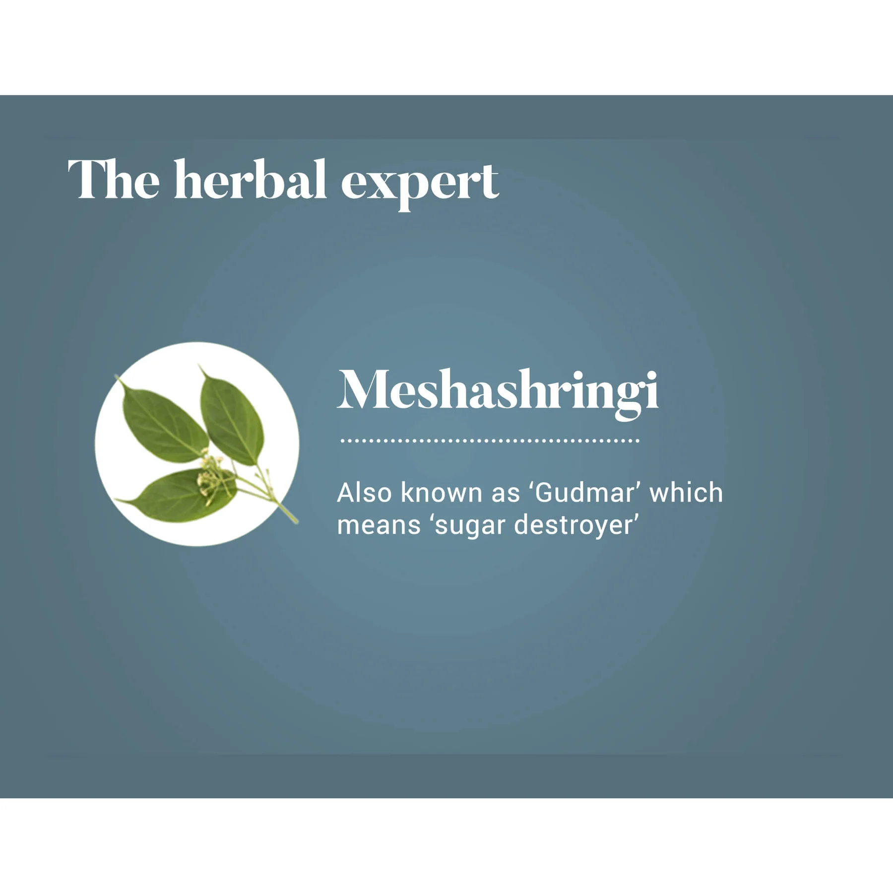 Meshasringi3_1800x1800.webp