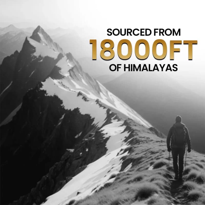 Neel Ayurvedics Resina Shilajit