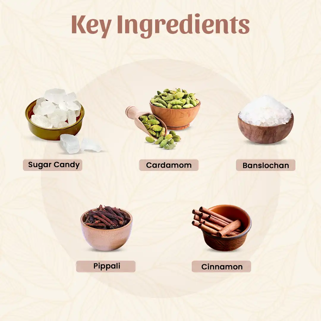Sitopaladi-Churna-Key-Ingredients.webp