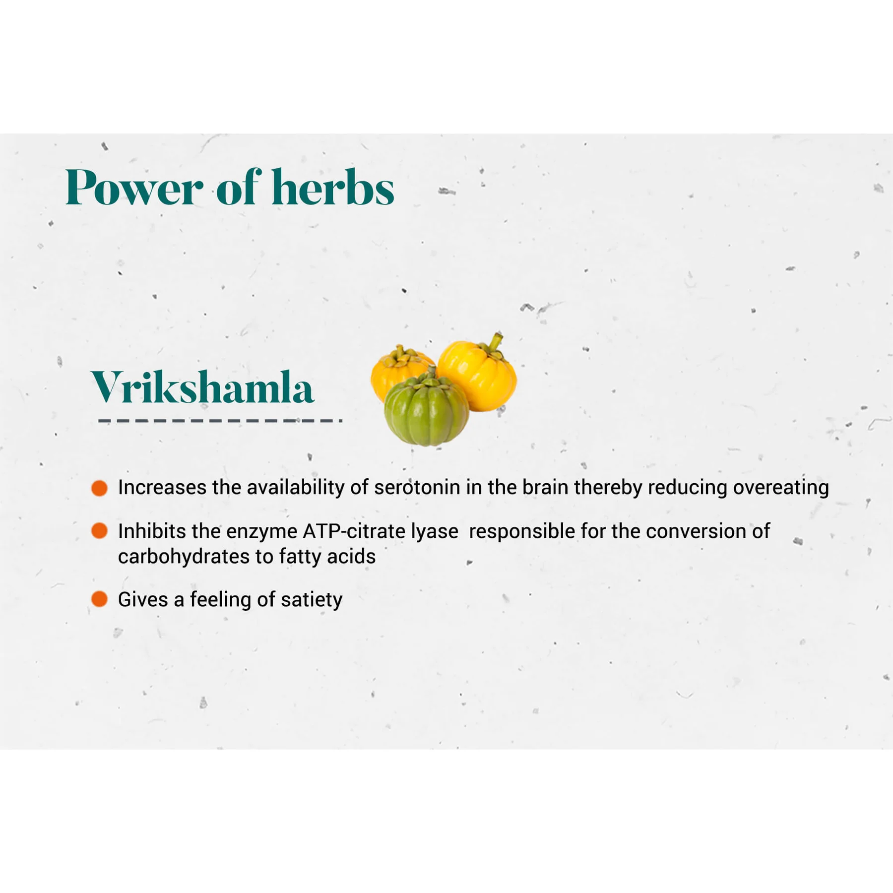Vrikshamala3_1800x1800.webp