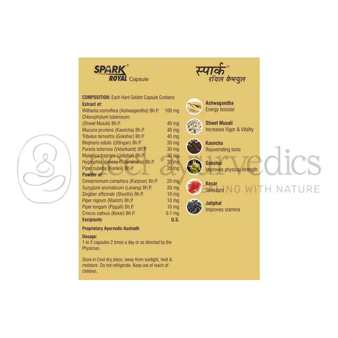 Vasu-Spark-Royal-Capsule-–-10-Cap1.webp