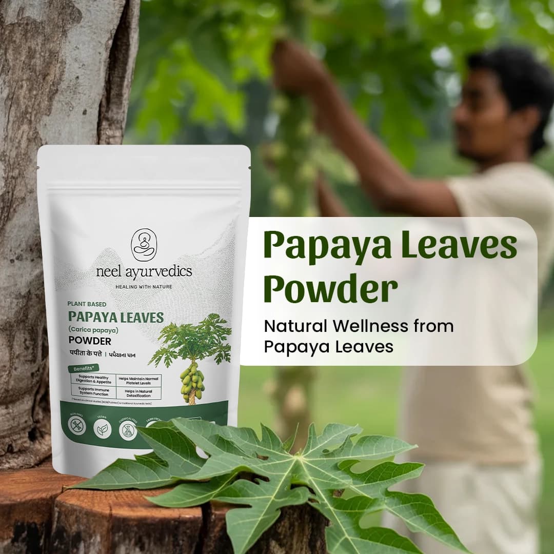 1 Papaya Leaves Powder