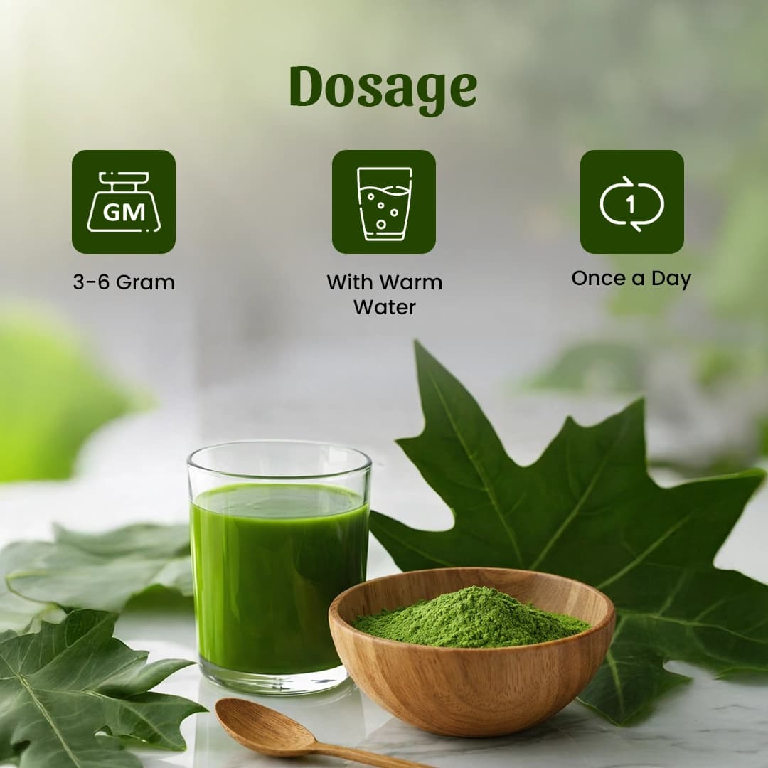 4 Papaya Leaves Powder Dosage