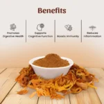 1 Javantri Powder Mockup