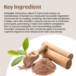 1 Chandan powder mockup