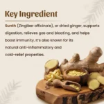 1 Sunth Powder mockup