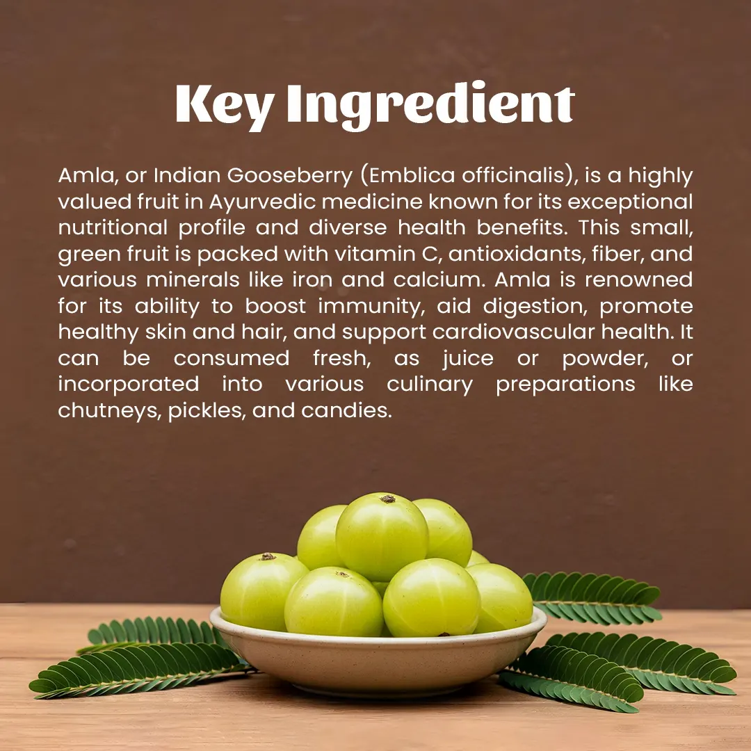 4 amla powder ingredients 4 amla powder ingredients