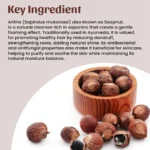 1 aritha powder mockup