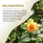 1 bala powder mockup