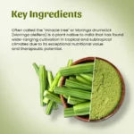 1 lmoringa drumstick powder mockup