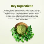 Moringa-Leaves-Powder.png