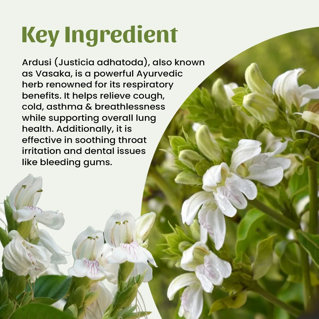 4 vardusi powder ingredient 4 vardusi powder ingredient